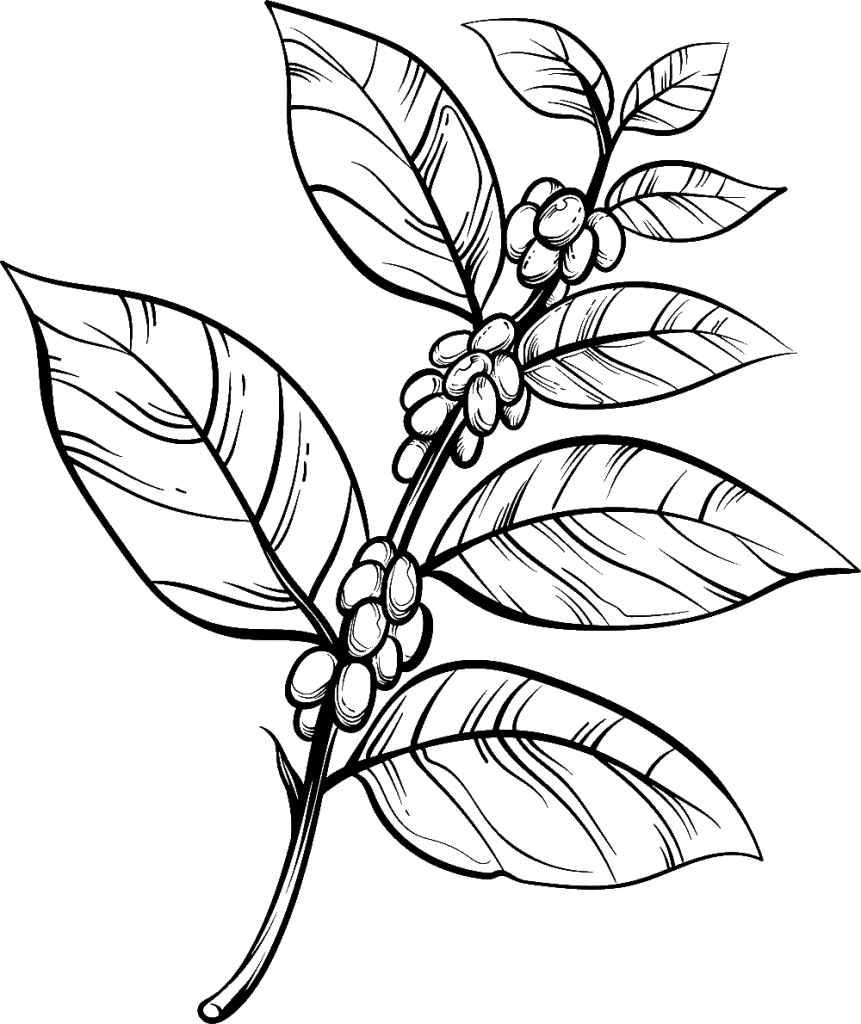 icon2 HNZ4RDH e1624586803300 1